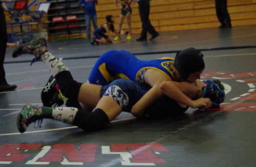 040216mavispyorretakedown