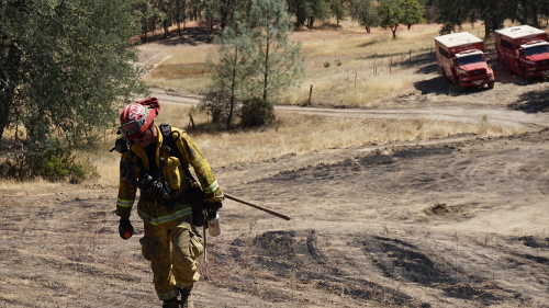 A firefighter returns from the exhausting work of walking the perimeter of the 215-acre Peterson fire near Kelseyville, Calif., on Monday, August 24, 2015. Photo by Elizabeth Larson/Lake County News. 082415petersonfirewalker