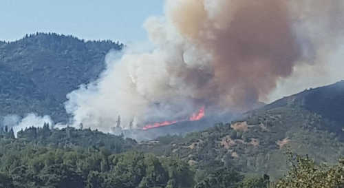 A wildland fire broke out on the afternoon of Wednesday, September 2, 2015, near Upper Lake, Calif. Photo by Mary Valadez. 090215ulfiremaryvaladez