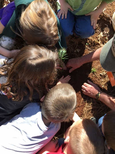 Children in Lake County, Calif., replant trees as part of a school garden program that aids fire survivors in the healing process. Photo courtesy of the Fire Family Foundation. 2016mtowngardenkids1