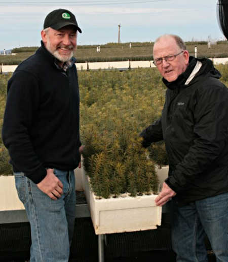 Eastlake Resource Conservation District Director Dan Desmond (right), pictured with El Dorado Resource Conservation District District Manager Mark Egbert, shows an example of ponderosa pine seedlings from this year’s crop. This is what the recently planted seeds will look like when they are ready for distribution less than a year from now in areas of Lake County, Calif., damaged by the 2015 Valley fire. Courtesy photo. cobbreforestation