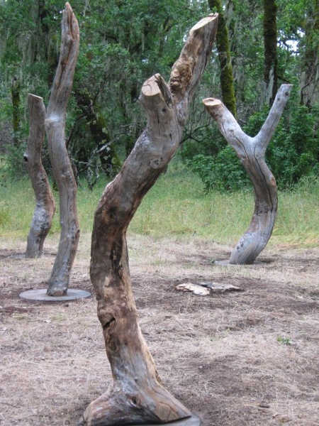 “Tree Souls” by Marcus Maria Jung. Photo courtesy of EcoArts. ecoartstreesouls