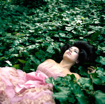 “Ivy Doll” by Shane Power will be featured in “Loose Affiliations,” which opens on Saturday, May 14, 2016, in Middletown, Calif. ivydollshanepowers