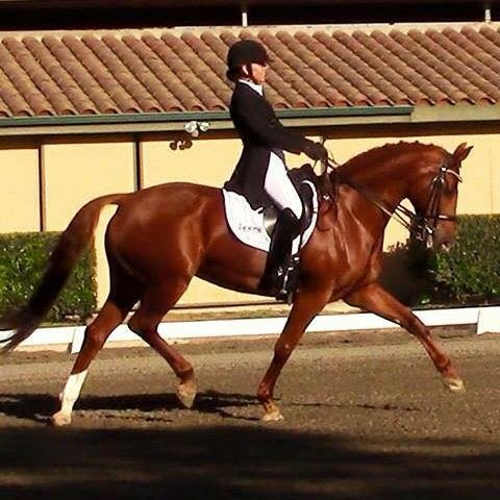 Jessica Naten on Zinzani. Courtesy photo. jessicanatendressage