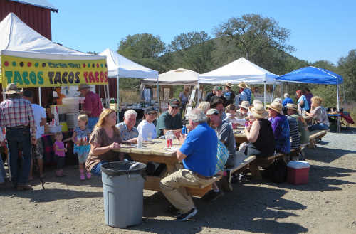 Visitors enjoying the fruits of October 2015’s Ely Marketplace. Contributed photo. oct2015elymarket