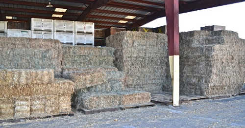 Adobe Creek Packing in Kelseyville, Calif., has made one of its sheds available to store feed donations gathered by Sonoma Action for Equine Rescue, or SAFER, for wildland fire victims in Lake County, Calif. Photo courtesy of SAFER. saferadobecreekedit