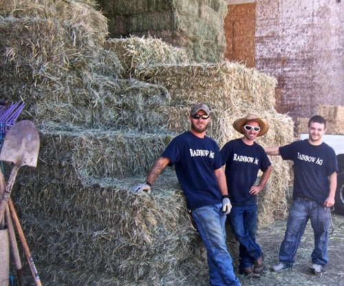 Sonoma Action for Equine Rescue, or SAFER, has an account at Rainbow Ag available for wildland fire victims in Lake County, Calif. Photo courtesy of SAFER. saferrainbowagedited