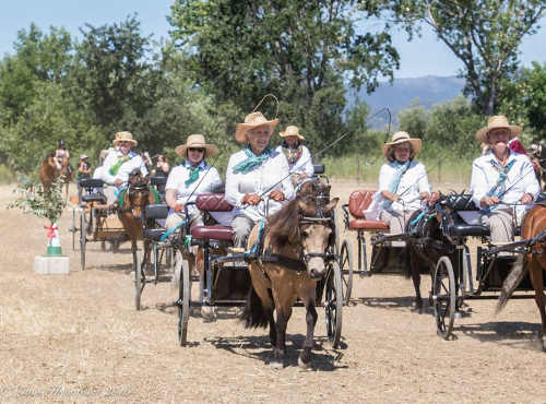 The Hooves and Wheels Quadrille led by Sally Green at Californio Days in Lakeport, Calif., on Sunday, June 12, 2016. Photo by Lana Thompson. 061216fiestaponies