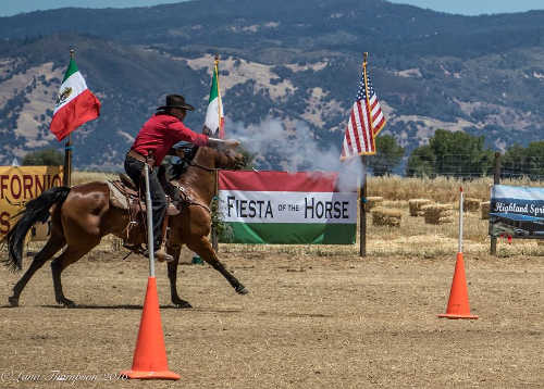 Mark Thomas of Petaluma, Calif., demonstrated cowboy mounted shooting at Californio Days in Lakeport, Calif., on Sunday, June 12, 2016. Photo by Lana Thompson. 061216fiestathompson