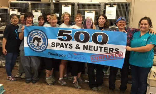 Pictured from left to right, Reiko Hattori, Wanda Roe, Amy Hustead, Chris Gregore, Kynnedy Gregore, Brenda Crandall, Nancy Johnson, Fawn Williams, Blythe Lucero, Megan Etingoff, Dr. Jennifer Eisley, Jennifer Vincent. Not pictured Laura Pierce, Tee Stacy, Tasha Haston. Dr. Sarah Crespo, Tamara Bertacchi, Kirsten Winkler and Terilynn Mitchell, who participated in the Clearlake Pet Project in Lake County, Calif. Courtesy photo. 081416clearlakepetproject