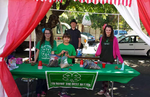 Blue Heron 4-H Members shown at their activities booth at Kids Town at the 2016 Pear Festival in Kelseyville, Calif. Courtesy photo. 2016pearfest4h
