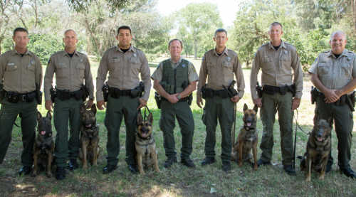 The California Department of Fish and Wildlife has certified five new K-9 wildlife officer teams. Photo courtesy of the California Department of Fish and Wildlife. cdfwk9teams