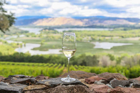 The Lake County, Calif., wine region is well known for its tasty Sauvignon Blanc. In a Wine Opinions survey, 12 percent of respondents identified this varietal with Lake County. Guests will taste more than a dozen Lake County Sauvignon Blancs at the People's Choice Wine Tasting to select the People's Choice. Photo by Nathan DeHart. dehartwineglass