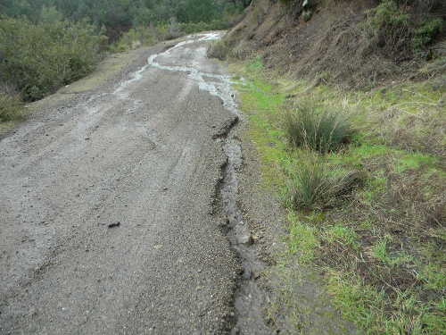 feb2017forestroaddamage