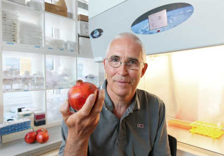 Ecole Polytechnique Fédérale De Lausanne researcher and last author Johan Auwerx is working to unlock the anti-aging secrets of pomegranates. Credit: EPFL/Alain Herzog. pomegranatesauwerx