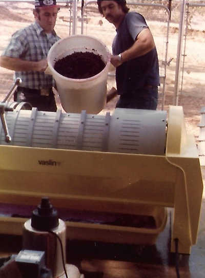 An early crush at Lower Lake Winery in Lower Lake, Calif., with Tom Scavone and Daniel Stuermer. Courtesy photo. scavonellwinerycrush