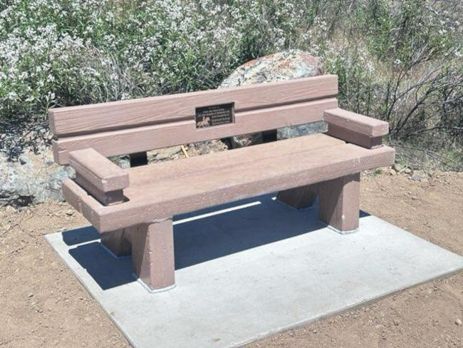 rileybench2.jpg