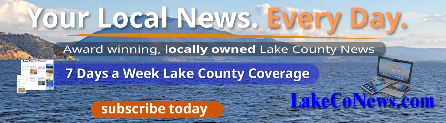 Shop Local Shop Local