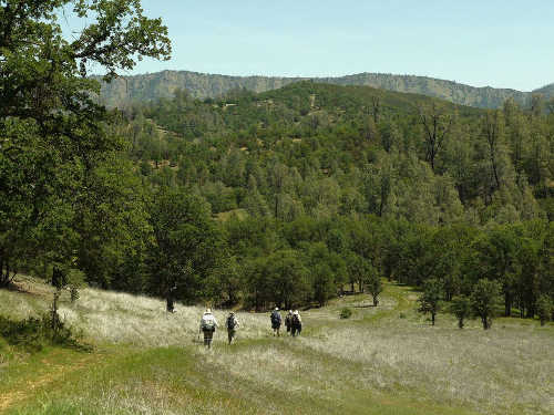 The Wilderness 50 hike in the Berryessa Snow Mountain Region in Northern California. Photo by Jim Rose. tuleyomewilderness50